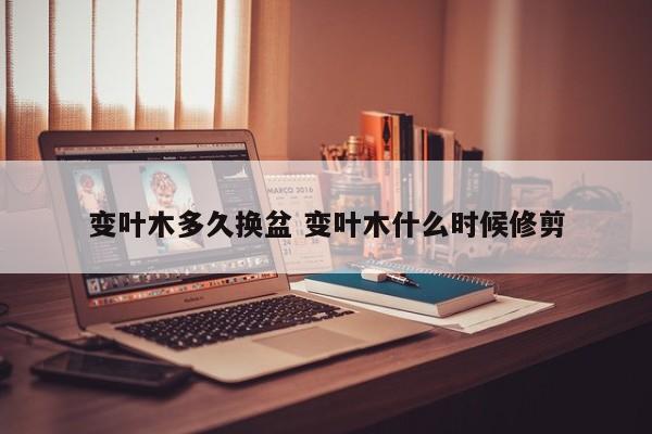 变叶木多久换盆 变叶木什么时候修剪