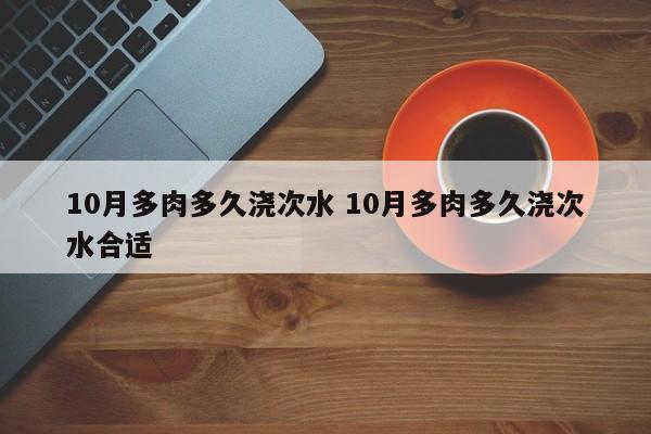 10月多肉多久浇次水 10月多肉多久浇次水合适