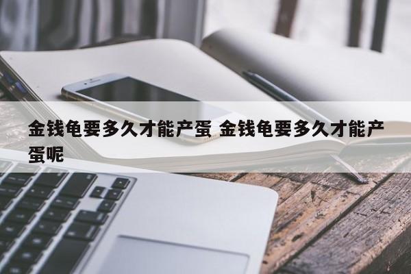 金钱龟要多久才能产蛋 金钱龟要多久才能产蛋呢