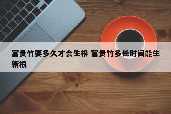 富贵竹要多久才会生根 富贵竹多长时间能生新根