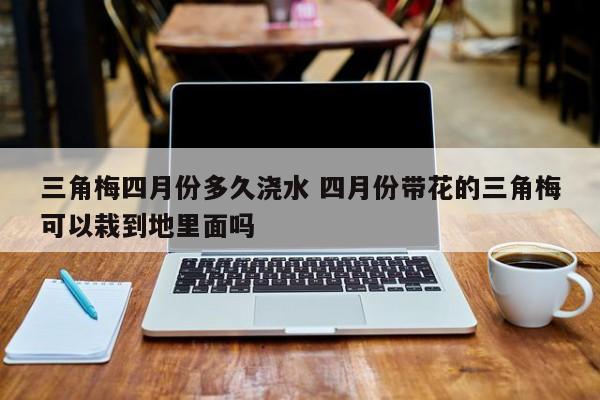 三角梅四月份多久浇水 四月份带花的三角梅可以栽到地里面吗