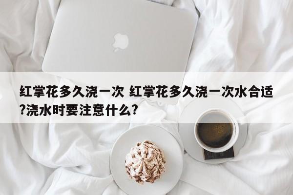 红掌花多久浇一次 红掌花多久浇一次水合适?浇水时要注意什么?
