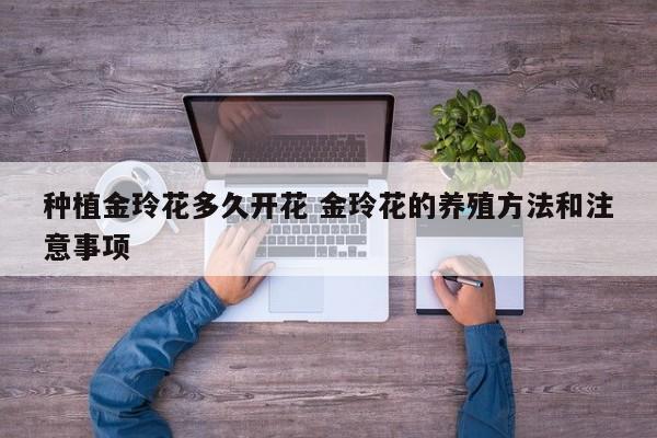 种植金玲花多久开花 金玲花的养殖方法和注意事项