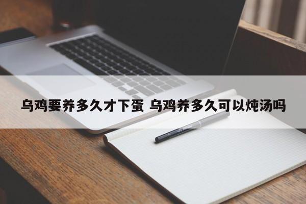乌鸡要养多久才下蛋 乌鸡养多久可以炖汤吗