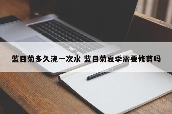蓝目菊多久浇一次水 蓝目菊夏季需要修剪吗