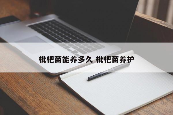枇杷苗能养多久 枇杷苗养护