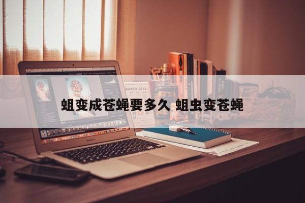 蛆变成苍蝇要多久 蛆虫变苍蝇