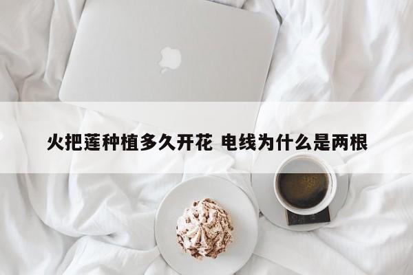 火把莲种植多久开花 电线为什么是两根