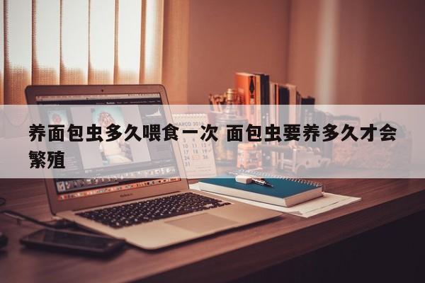养面包虫多久喂食一次 面包虫要养多久才会繁殖