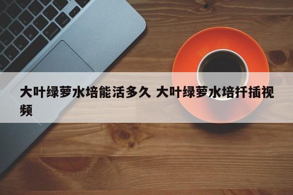 大叶绿萝水培能活多久 大叶绿萝水培扦插视频