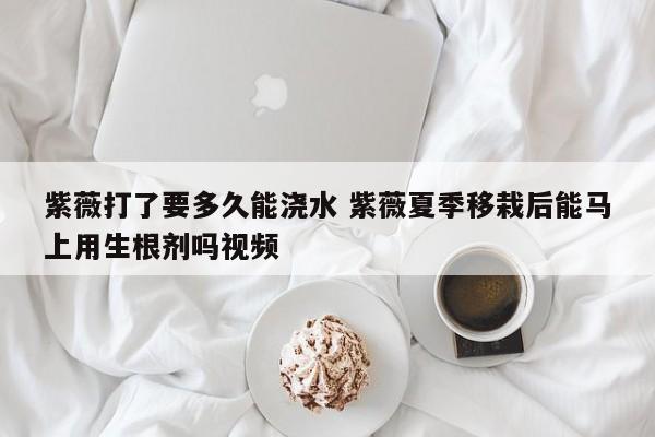 紫薇打了要多久能浇水 紫薇夏季移栽后能马上用生根剂吗视频