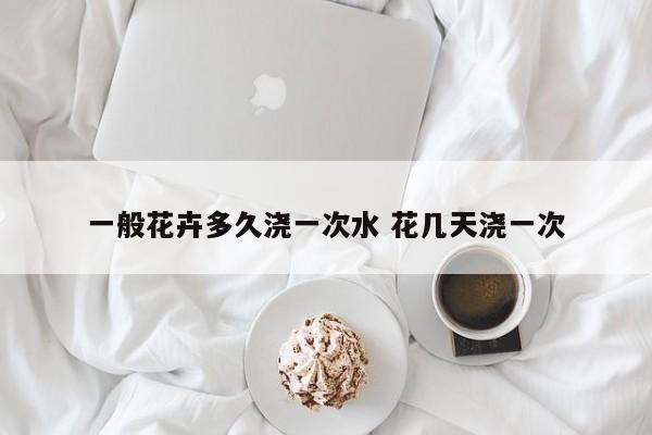 一般花卉多久浇一次水 花几天浇一次