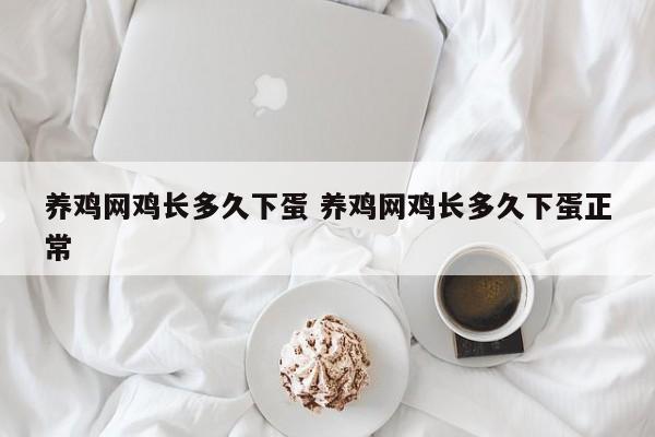 养鸡网鸡长多久下蛋 养鸡网鸡长多久下蛋正常
