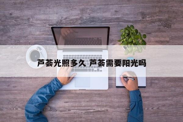 芦荟光照多久 芦荟需要阳光吗