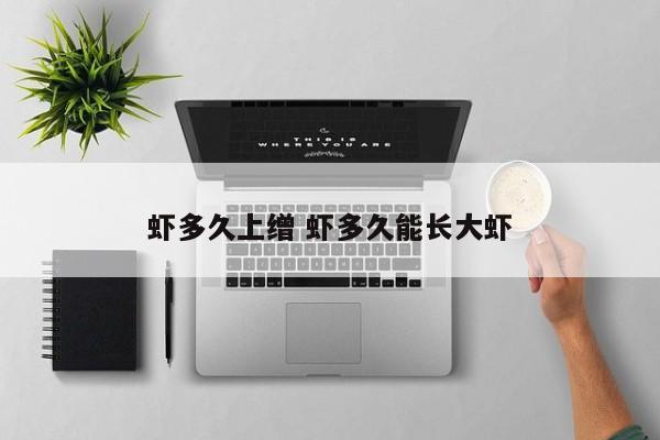 虾多久上缯 虾多久能长大虾
