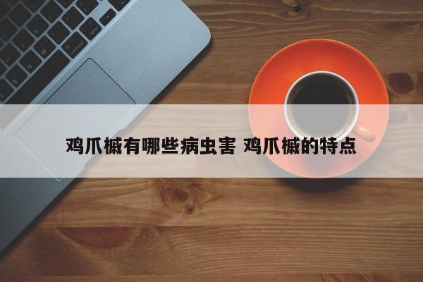 鸡爪槭有哪些病虫害 鸡爪槭的特点