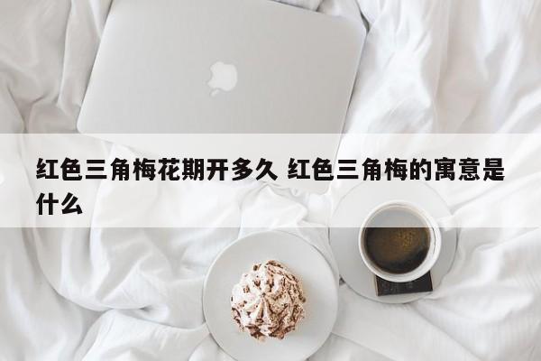 红色三角梅花期开多久 红色三角梅的寓意是什么