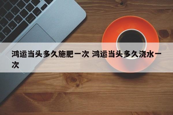 鸿运当头多久施肥一次 鸿运当头多久浇水一次