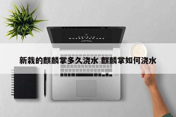 新栽的麒麟掌多久浇水 麒麟掌如何浇水