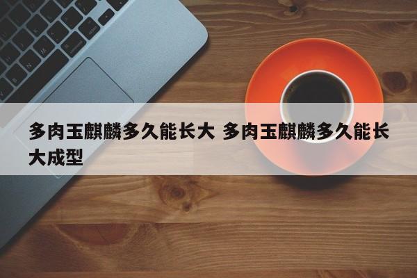 多肉玉麒麟多久能长大 多肉玉麒麟多久能长大成型