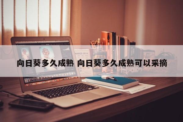 向日葵多久成熟 向日葵多久成熟可以采摘