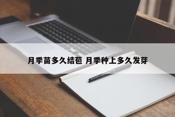 月季苗多久结苞 月季种上多久发芽