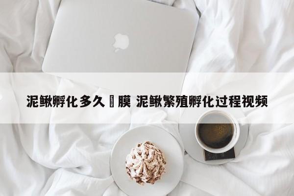 泥鳅孵化多久岀膜 泥鳅繁殖孵化过程视频