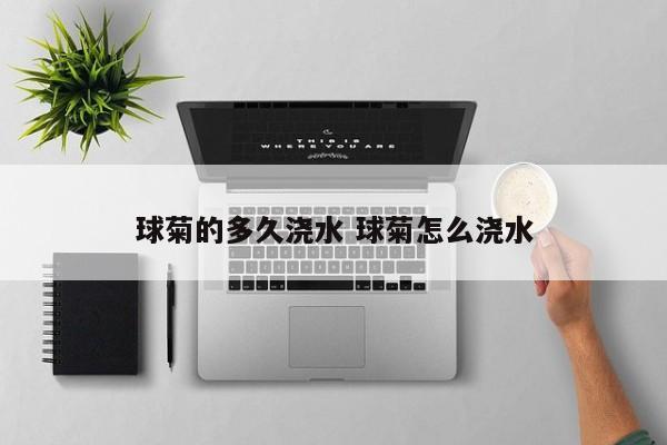 球菊的多久浇水 球菊怎么浇水