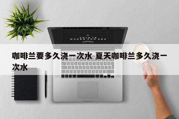 咖啡兰要多久浇一次水 夏天咖啡兰多久浇一次水