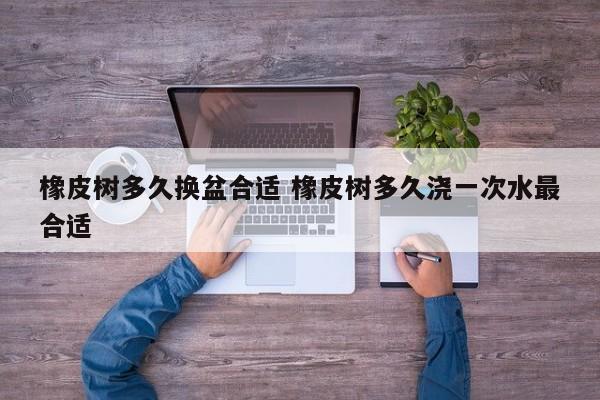 橡皮树多久换盆合适 橡皮树多久浇一次水最合适