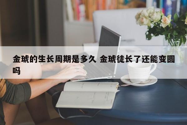 金琥的生长周期是多久 金琥徒长了还能变圆吗