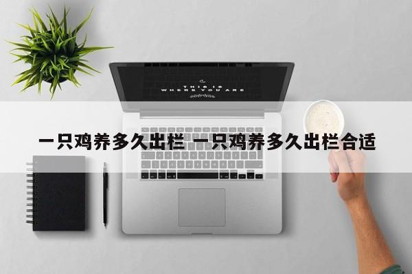 一只鸡养多久出栏 一只鸡养多久出栏合适