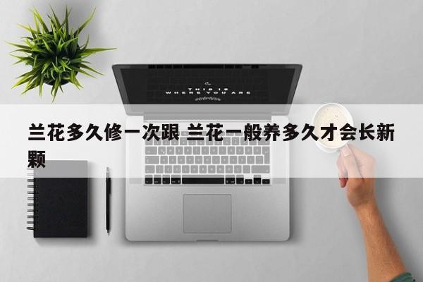 兰花多久修一次跟 兰花一般养多久才会长新颗