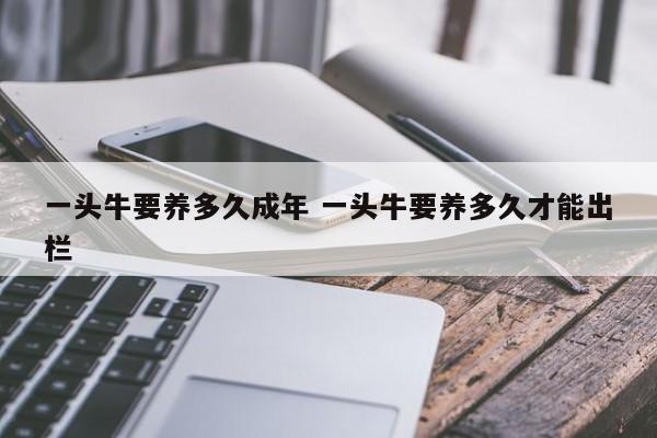 一头牛要养多久成年 一头牛要养多久才能出栏