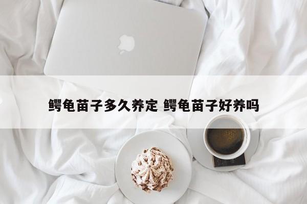鳄龟苗子多久养定 鳄龟苗子好养吗
