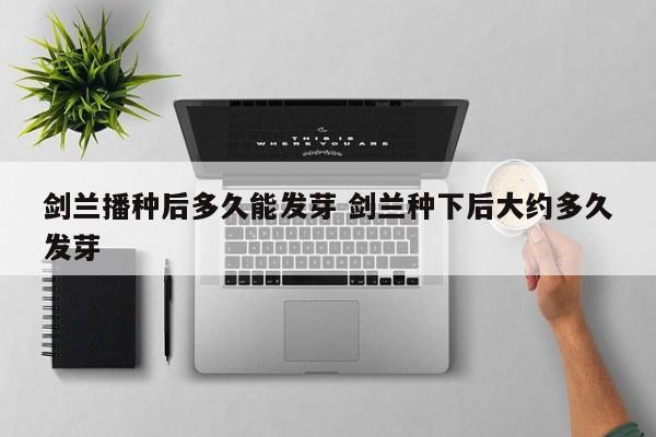 剑兰播种后多久能发芽 剑兰种下后大约多久发芽