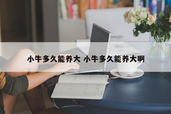 小牛多久能养大 小牛多久能养大啊