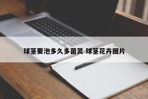 球茎要泡多久多菌灵 球茎花卉图片
