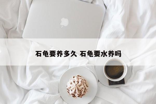 石龟要养多久 石龟要水养吗