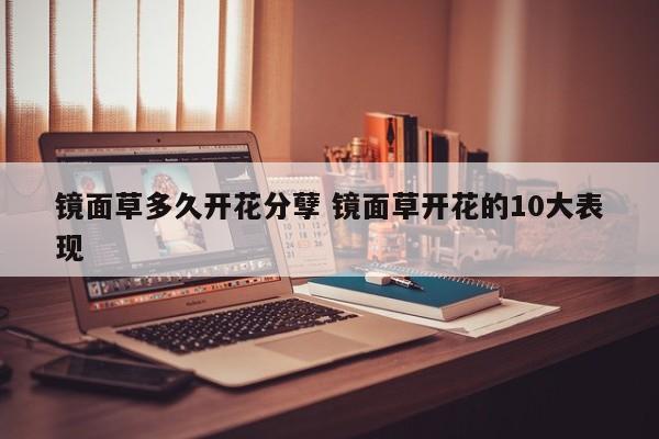 镜面草多久开花分孽 镜面草开花的10大表现