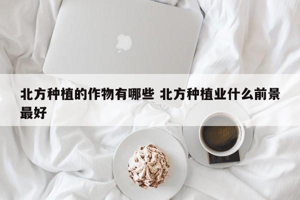 北方种植的作物有哪些 北方种植业什么前景最好