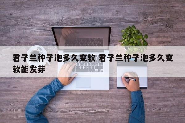 君子兰种子泡多久变软 君子兰种子泡多久变软能发芽