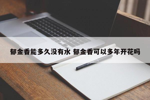 郁金香能多久没有水 郁金香可以多年开花吗