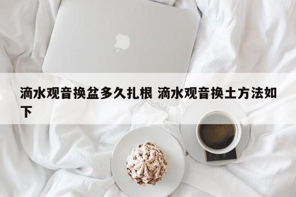 滴水观音换盆多久扎根 滴水观音换土方法如下