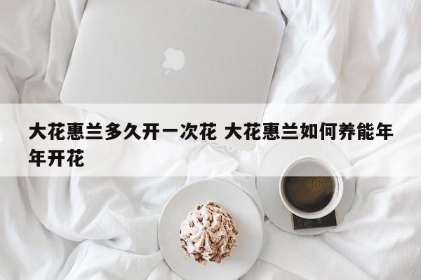 大花惠兰多久开一次花 大花惠兰如何养能年年开花