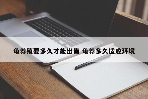 龟养殖要多久才能出售 龟养多久适应环境