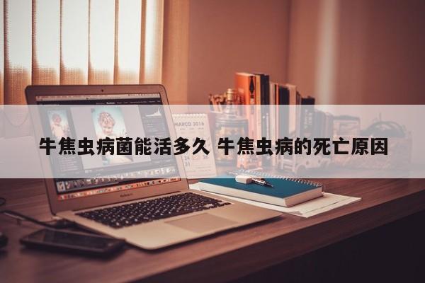 牛焦虫病菌能活多久 牛焦虫病的死亡原因