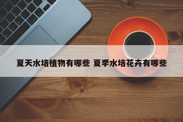夏天水培植物有哪些 夏季水培花卉有哪些