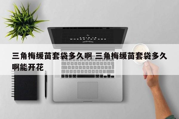 三角梅缓苗套袋多久啊 三角梅缓苗套袋多久啊能开花