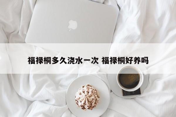福禄桐多久浇水一次 福禄桐好养吗